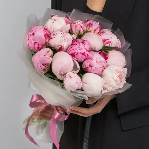   17 Пионов Сара Бернар 