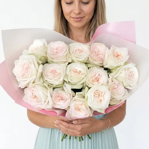 15 Пионовидных Роз Вайт Охара