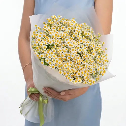 35 Кустовых Ромашек в упаковке