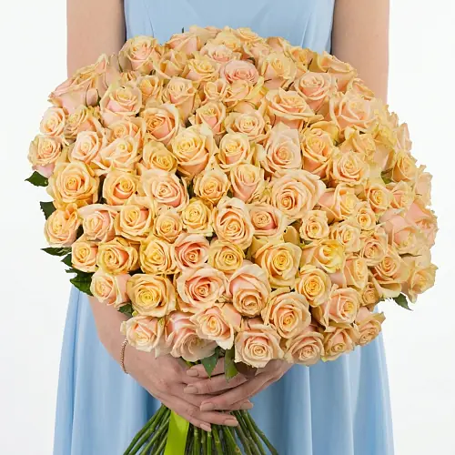 101 Кремовая Роза