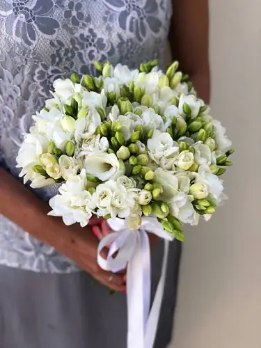 41 Белая Фрезия