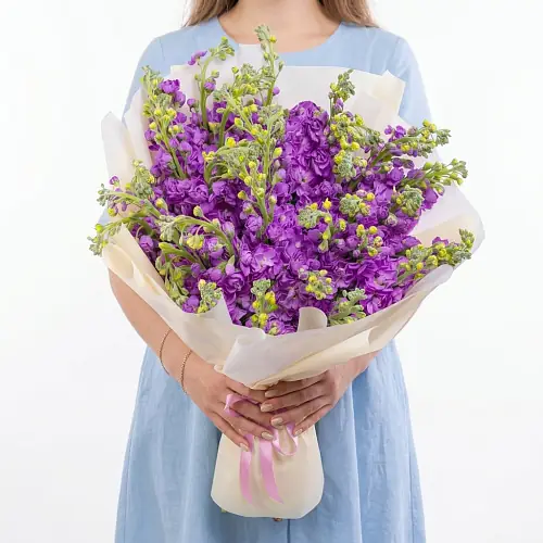 35 Фиолетовых Маттиол в упаковке