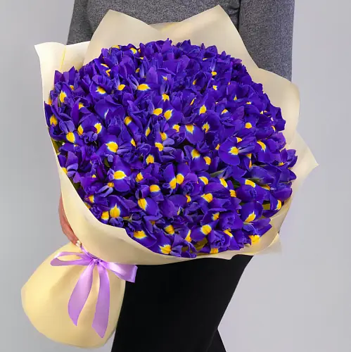 101 Синий Ирис в упаковке