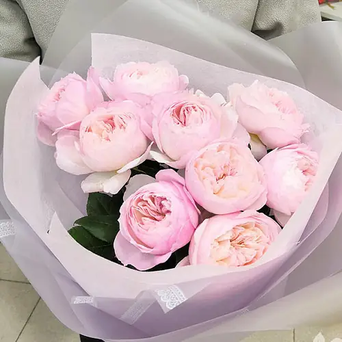 9 Роз Пинк Охара