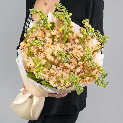 19 Кремовых Маттиол в упаковке 