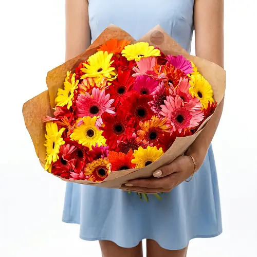 51 Разноцветная Гербера в крафте