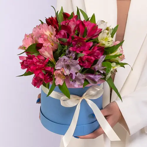 15 Альстромерий Микс в коробке