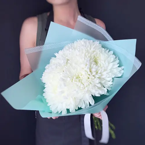 5 Белоснежных Хризантем