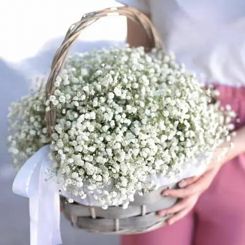 Корзина из белой гипсофилы