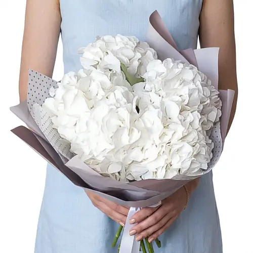 Букет из белых гортензий