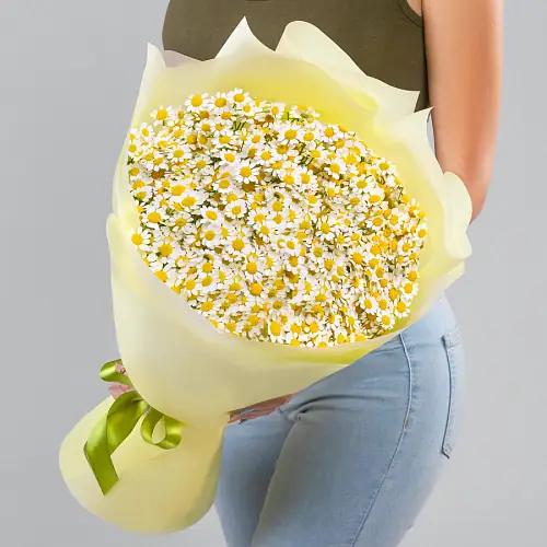 13 Кустовых Ромашек в упаковке