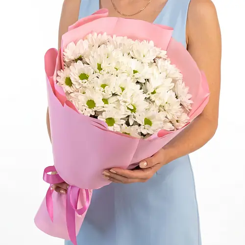 7 Кустовых Хризантем Ромашка