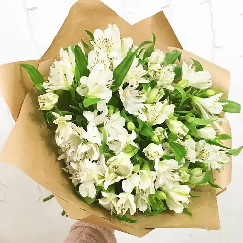 21 Снежных Альстромерия в крафте 