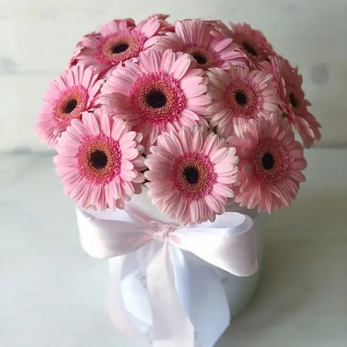 Коробка нежно розовых гербер