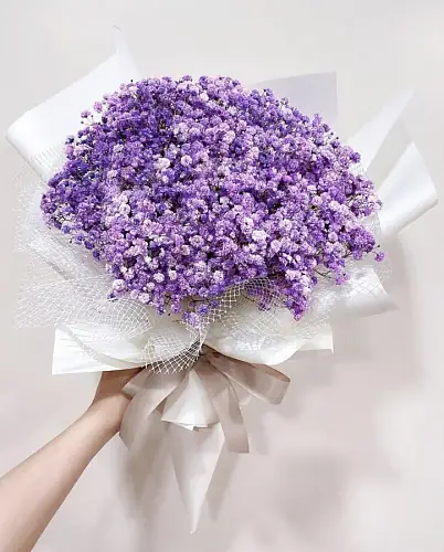 15 Фиолетовых Гипсофил