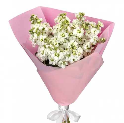 Букет "9 Белых Маттиол"