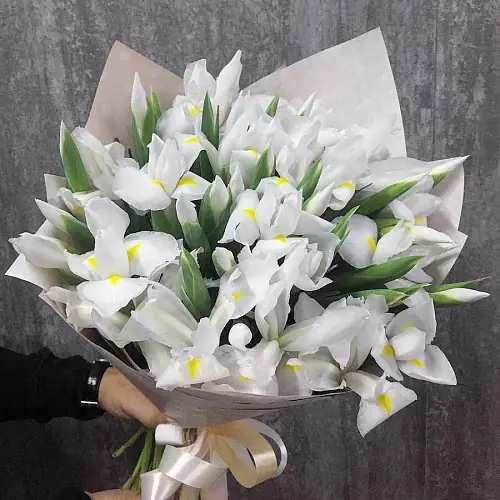 25 Белых Ирисов в упаковке 