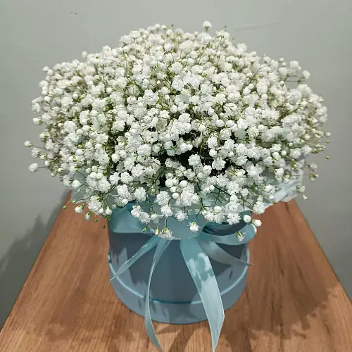 Белоснежная гипсофила в коробке
