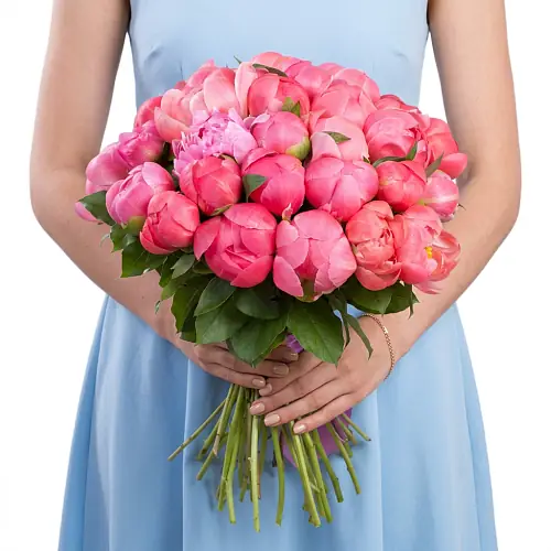 35 Коралловых Пионов