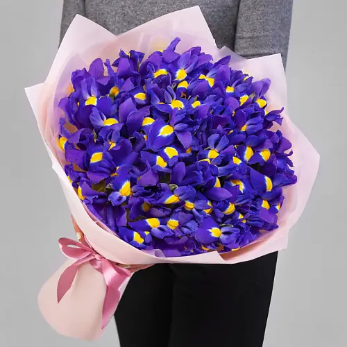 31 Синий Ирис в упаковке