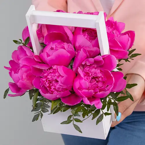 9 Малиновых Пионов в ящике