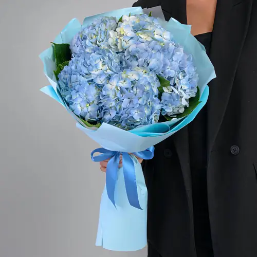 Букет из 5 Голубых Гортензий