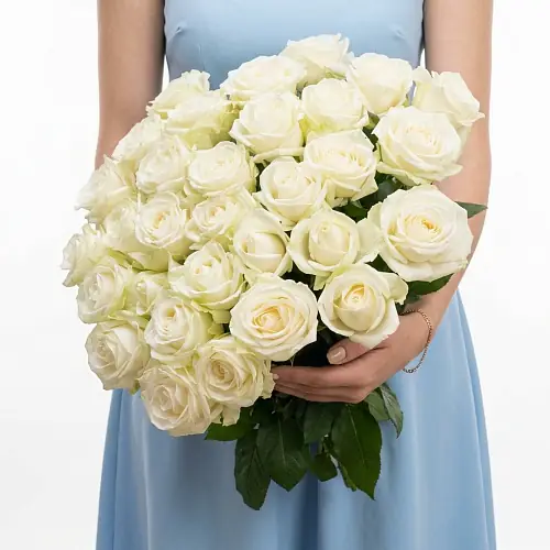 31 белая роза