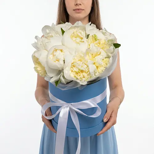 Белые Пионы в упаковке