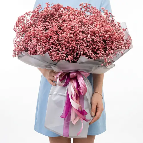 51 гипсофила