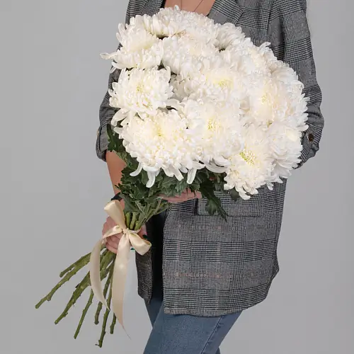 Хризантемы 15 шт