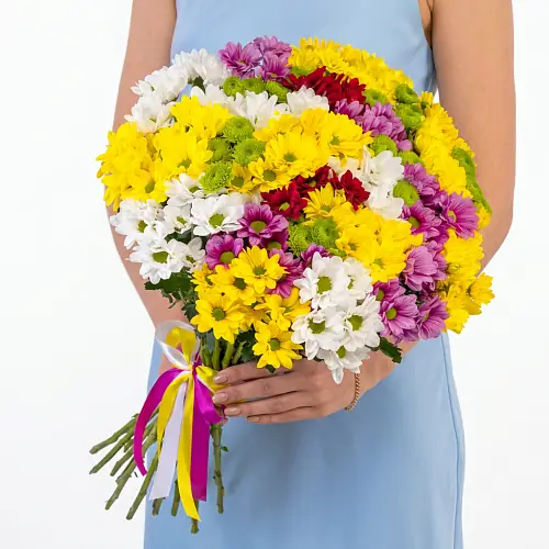 25 Кустовых Хризантем Ромашка Микс