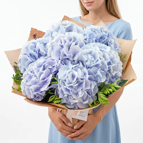 7 Небесных Гортензий