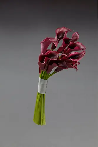 9 Бордовых Калл