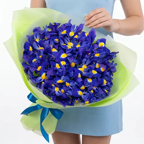 Букет из 29 Синих Ирисов