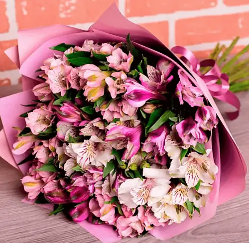 15 Разноцветных  Альстромерий в упаковке 