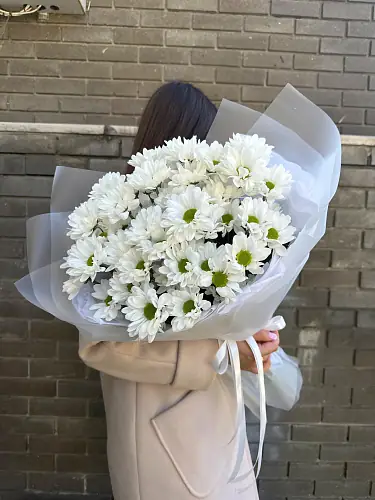 Букет живых цветов из 7 кустовых хризантем