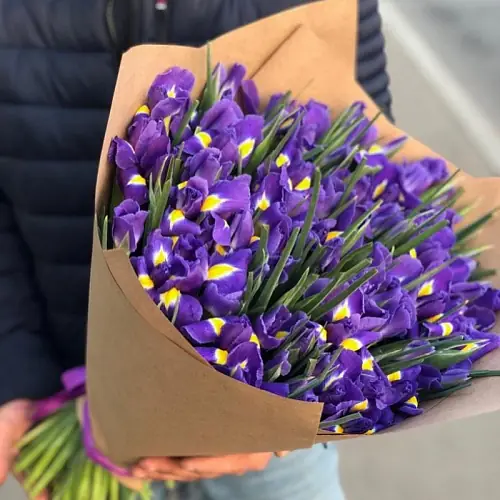 29 Синих Ирисов в упаковке 