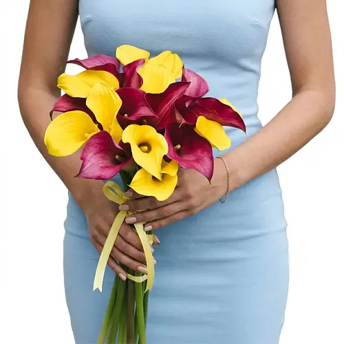 21 Калла микс