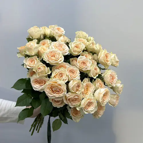 11 Кремовых кустовых роз