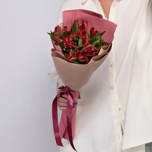  5 Красных Альстромерий в упаковке 