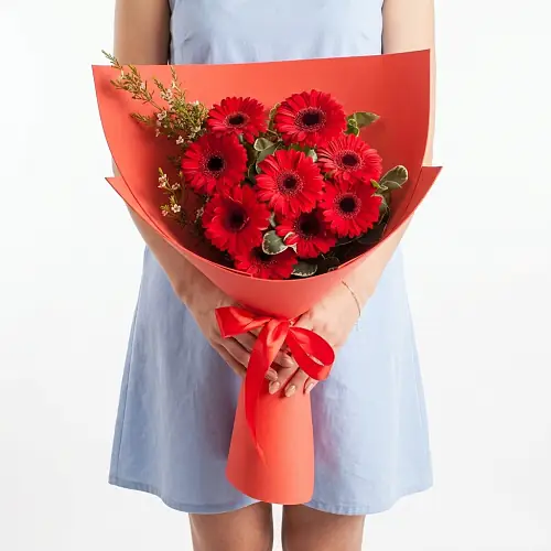 Букет "9 Красных Гербер"