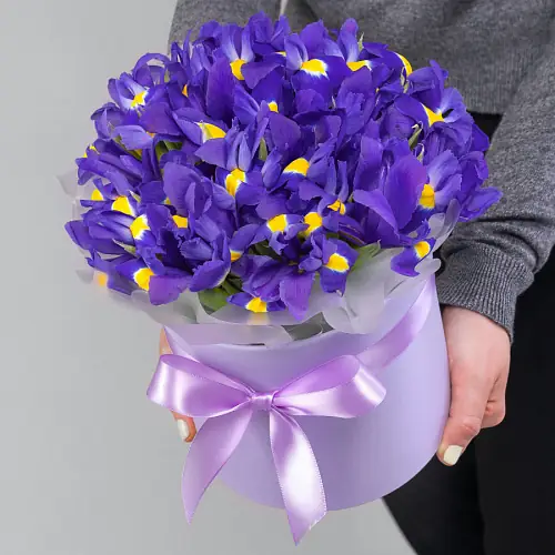 15 Синих Ирисов в коробке