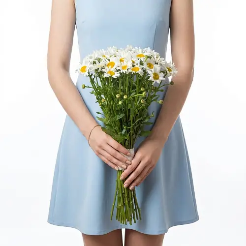 35 Крупных Ромашек