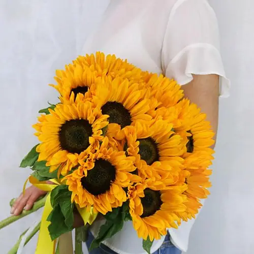 9 Подсолнухов