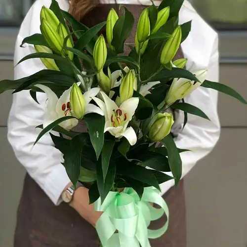 Букет из 7 Белых Лилий