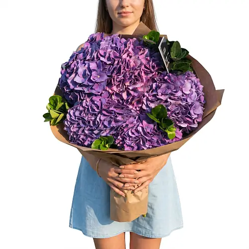 5 Сиреневых Гортензий