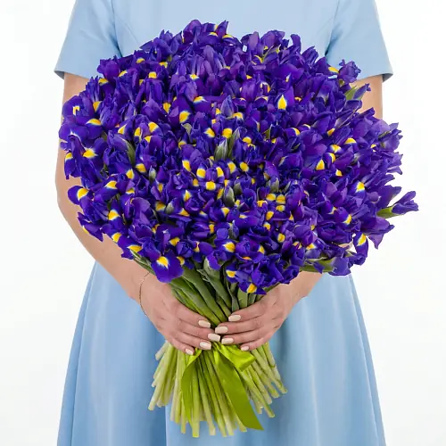 151 Синий Ирис под ленту