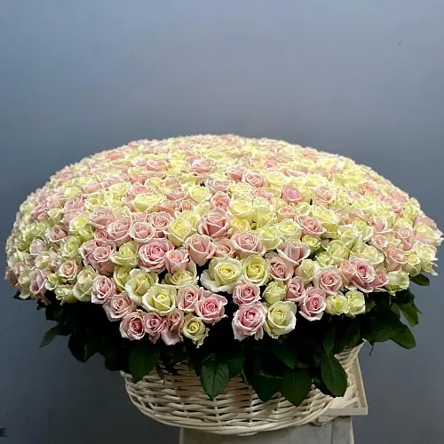 501 Роза нежная