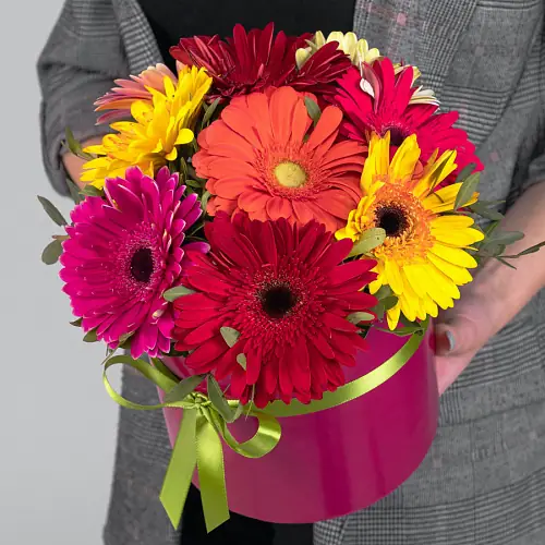 9 Гербер Микс в коробке