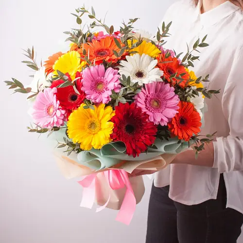 21 Разноцветная Гербера